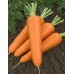 Морковь Бессердцевинная, гранулы (Семена Аэлита)