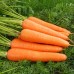 Морковь Витаминная 6, на ленте (Семена Аэлита)