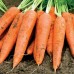 Морковь Вкус детства (Семена Аэлита)