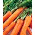 Морковь Император, на ленте (Семена Аэлита)