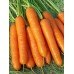 Морковь Нантская 4, гранулы (Семена Аэлита)