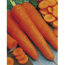 Морковь Супер мускат (Семена Аэлита)