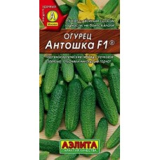 Огурец Антошка F1 (Семена Аэлита)