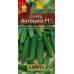 Огурец Антошка F1 (Семена Аэлита)