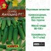 Огурец Антошка F1 (Семена Аэлита)