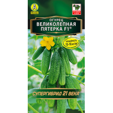 Огурец ультроскороспелый Великолепная пятерка F1, 10 семян (Супергибрид 21 века - Аэлита)