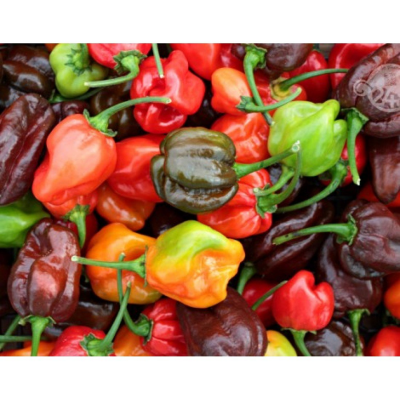 Перец острый Хабанеро, смесь (Семена Аэлита)