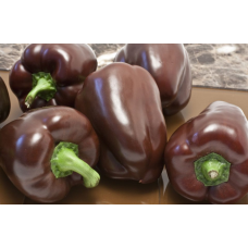 Перец сладкий Шоколадный красавец (Семена Аэлита)