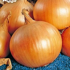 Лук репчатый Король гигантов (Семена Аэлита)