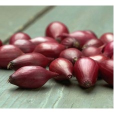 Лук шалот Семьянин (Семена Аэлита)