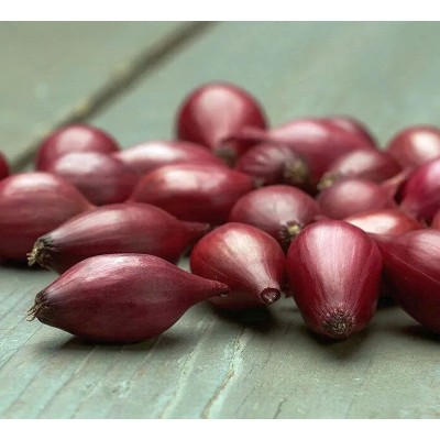 Лук шалот Семьянин (Семена Аэлита)