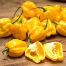 Перец острый Хабанеро желтый (Семена Аэлита)