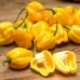 Перец острый Хабанеро желтый (Семена Аэлита) Перец острый Хабанеро желтый (Семена Аэлита)