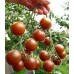 Томат Диковинка (Семена Аэлита)