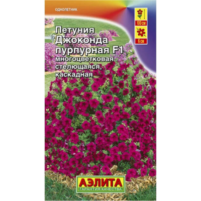 Петуния Джоконда пурпурная F1 (Семена Аэлита)
