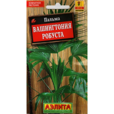 Пальма Вашингтония робуста (Семена Аэлита)