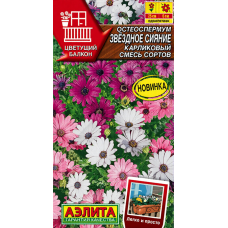 Остеоспермум карликовый Звездное сияние смесь, 10 семян (серия Цветущий балкон - Аэлита)