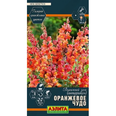 Львиный зев Оранжевое чудо (Семена Аэлита)