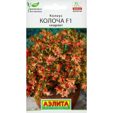 Колеус Колоча F1 Скарлет, 5 семян (Сerny Seed - Аэлита)