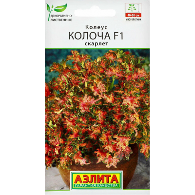 Колеус Колоча F1 Скарлет, 5 семян (Сerny Seed - Аэлита)