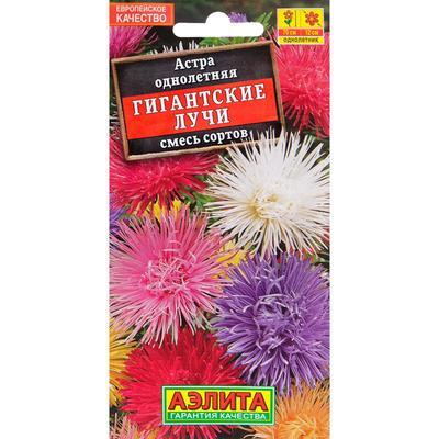 Астра Гигантские лучи, смесь (Семена Аэлита)