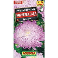 Астра Королева сада биколор (Семена Аэлита)