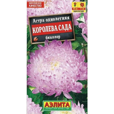 Астра Королева сада биколор (Семена Аэлита)