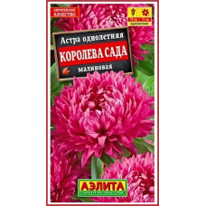 Астра Королева сада малиновая (Семена Аэлита)