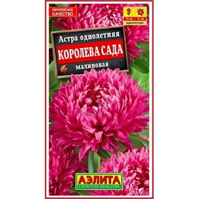 Астра Королева сада малиновая (Семена Аэлита)