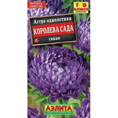 Астра Королева сада синяя (Семена Аэлита)