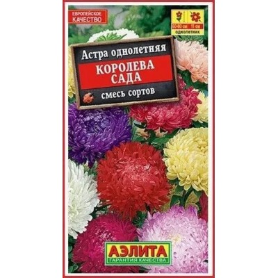 Астра Королева сада, смесь (Семена Аэлита)