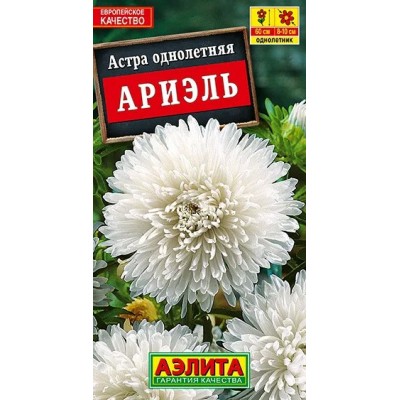 Астра хризантемовидная Ариэль (Семена Аэлита)
