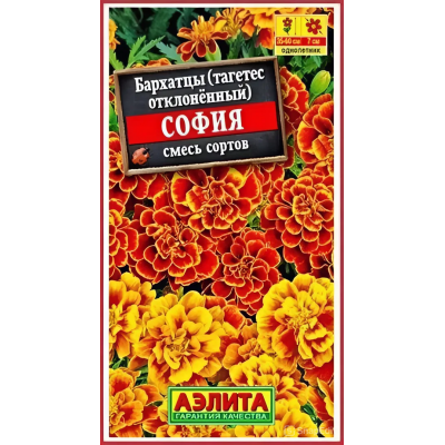 Бархатцы отклоненные София, смесь (Семена Аэлита)