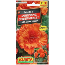 Бегония Америгибрид гофрированная мандарин оранж F1 (Семена Аэлита)