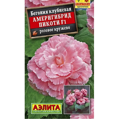 Бегония Америгибрид пикоти розовое кружево F1 (Семена Аэлита)