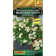 Бегония вечноцветущая Махровая фея белоснежная F1 (Семена Аэлита)