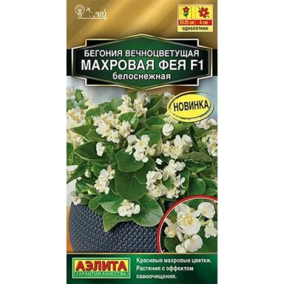Бегония вечноцветущая Махровая фея белоснежная F1 (Семена Аэлита)