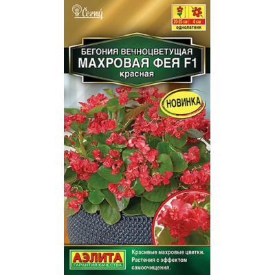 Бегония вечноцветущая Махровая фея красная F1 (Семена Аэлита)