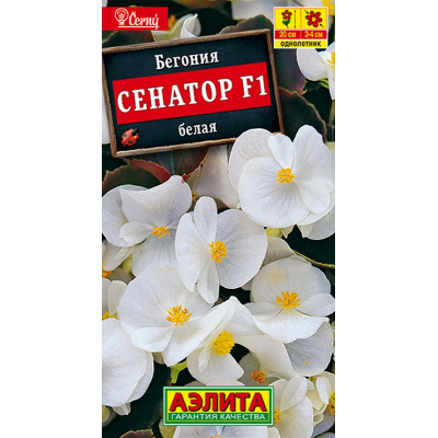 Бегония Сенатор белая F1 (Семена Аэлита)