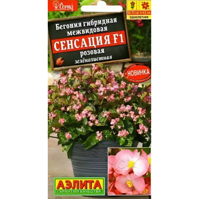 Бегония Сенсация розовая зеленолистная F1 (Семена Аэлита)