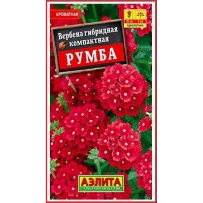 Вербена гибридная Румба (Семена Аэлита)