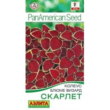 Колеус блюме Визард скарлет (Семена Аэлита)