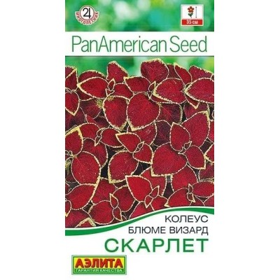 Колеус блюме Визард скарлет (Семена Аэлита)