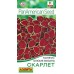 Колеус блюме Визард скарлет (Семена Аэлита)