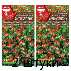 Язвенник Антисептик (Семена Аэлита) - 2 штуки