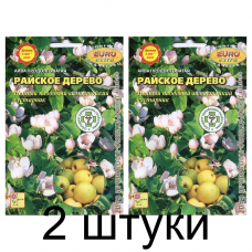 Айва продолговатая Райское дерево (Семена Аэлита) - 2 штуки