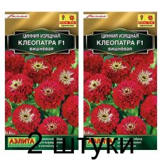 Цинния Клеопатра F1, вишневая (Семена Аэлита) - 2 штуки