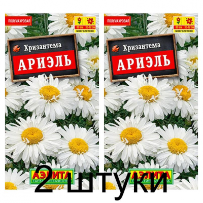 Хризантема Ариэль (Семена Аэлита) - 2 штуки