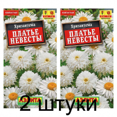 Хризантема Платье невесты (Семена Аэлита) - 2 штуки