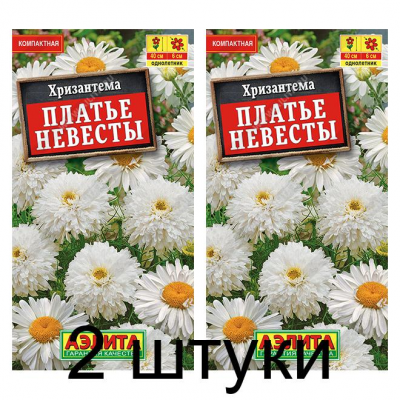 Хризантема Платье невесты (Семена Аэлита) - 2 штуки